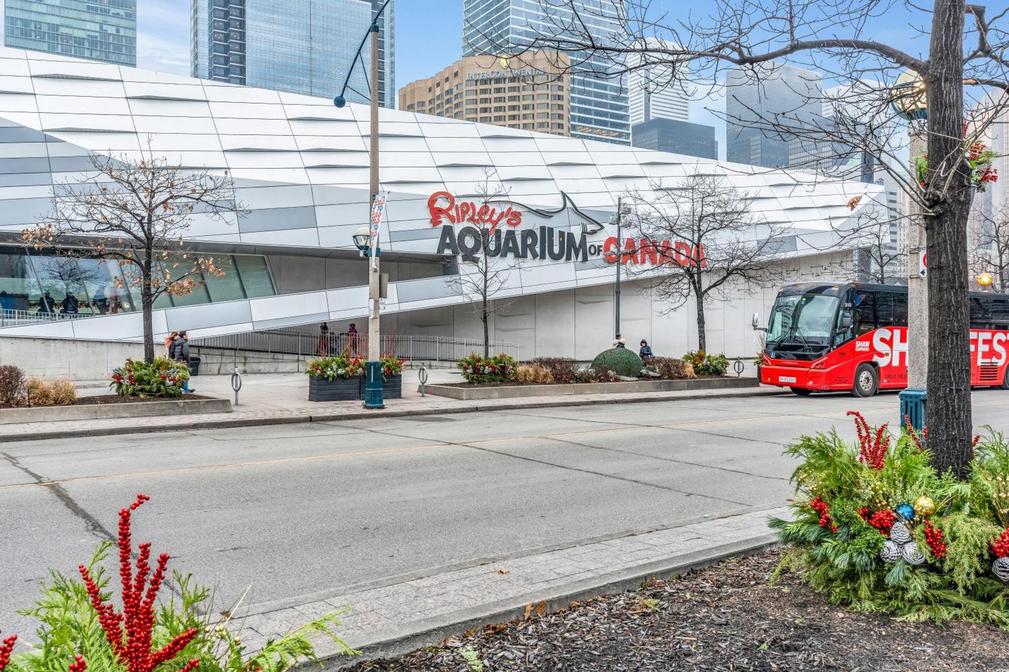 Spadina Modern Suites Toronto Exteriör bild